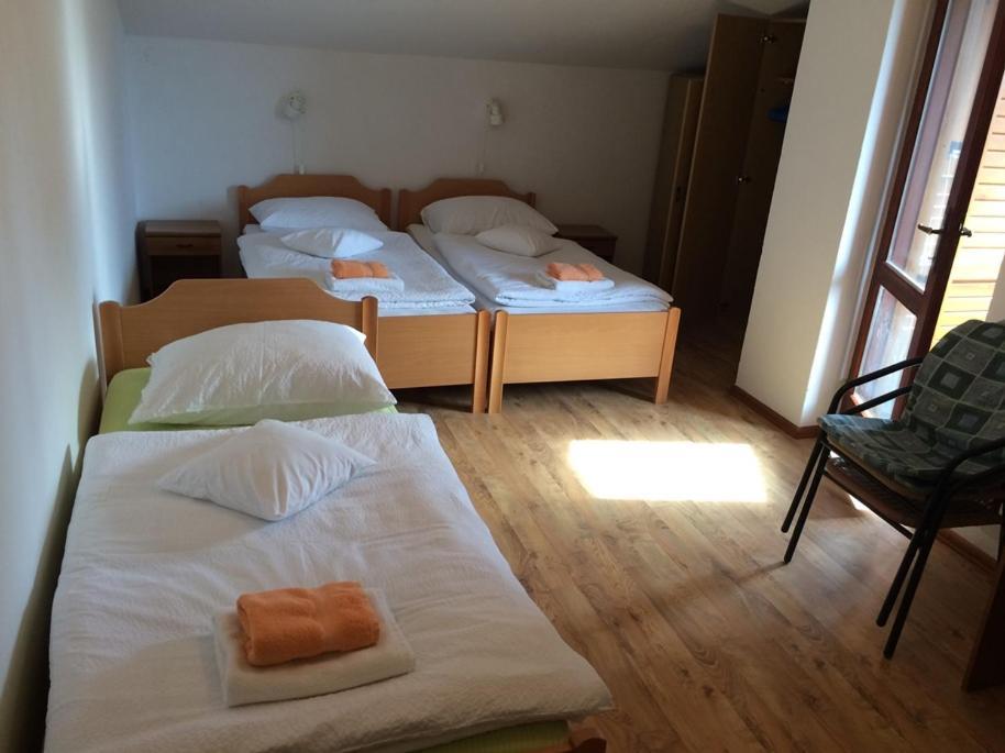 Bed and Breakfast Vila Albatros à Rovinj Extérieur photo